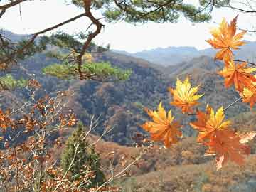石家庄怀孕80天吃几片打胎药（怀孕80天可以做无痛人流吗?吃完药要住院等清宫吗）